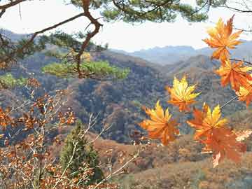 萃华珠宝新设销售公司，传承非遗文化，共筑美好未来