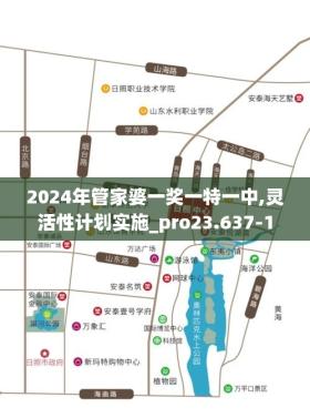 2024年管家婆一奖一特一中,灵活性计划实施_pro23.6371