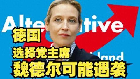 德国选择党主席魏德尔，立志下次选举取胜